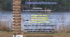 Desktop Screenshot of chattaflats.com