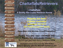 Tablet Screenshot of chattaflats.com